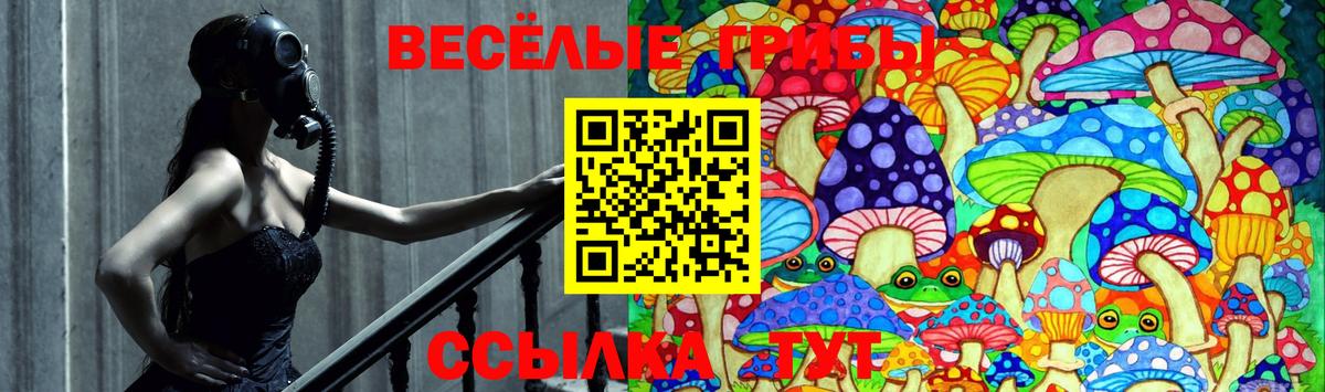 Галлюциногенные грибы Magic Shrooms  Галлюциногенные грибы прущие грибы  Вход с VPN  Гусев 